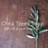 Olea Trees Soap